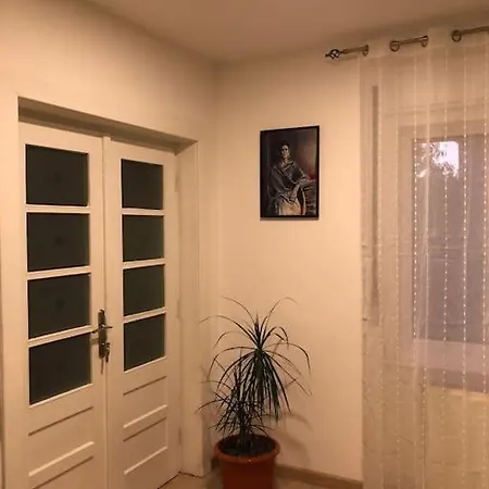 Villa Casa Cu Trandafiri Baia Mare Exterior foto