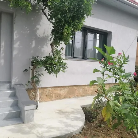 Villa Casa Cu Trandafiri Baia Mare Habitación foto