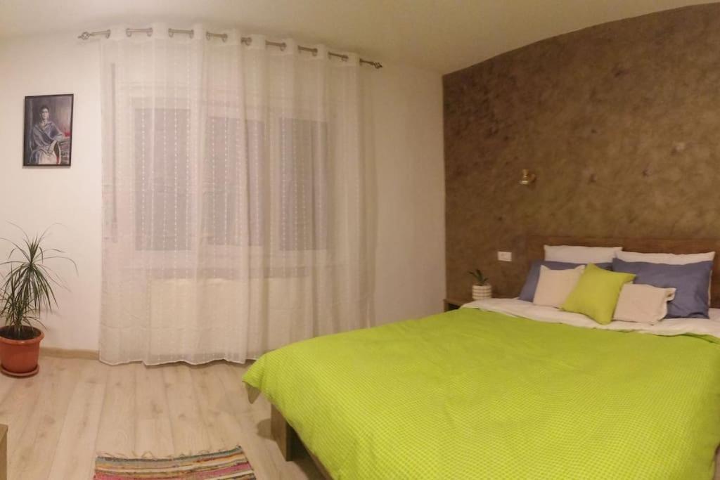 Villa Casa Cu Trandafiri