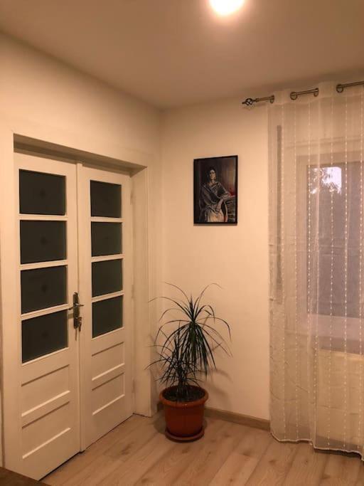 Casa Cu Trandafiri