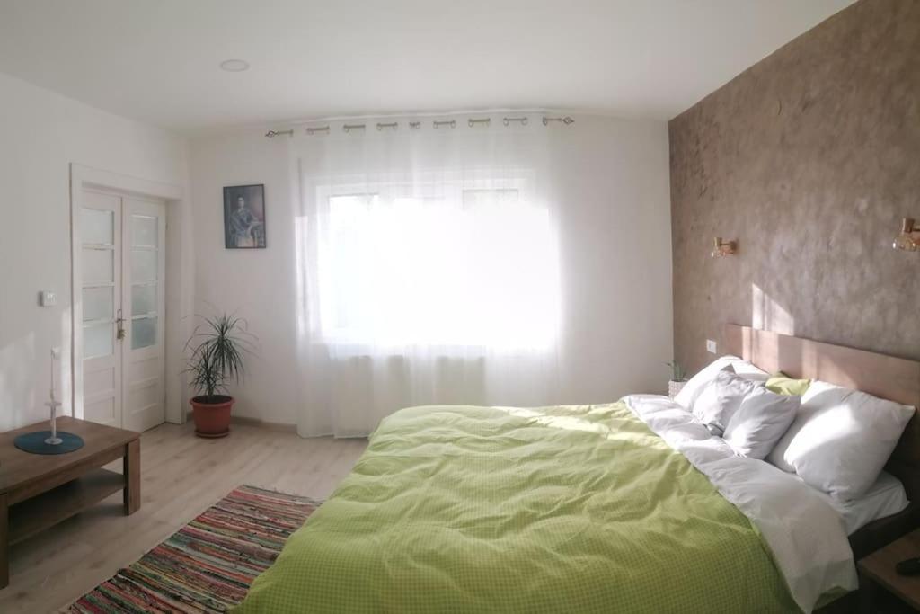 Casa Cu Trandafiri Villa