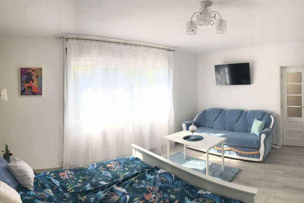 Casa Cu Trandafiri Villa *