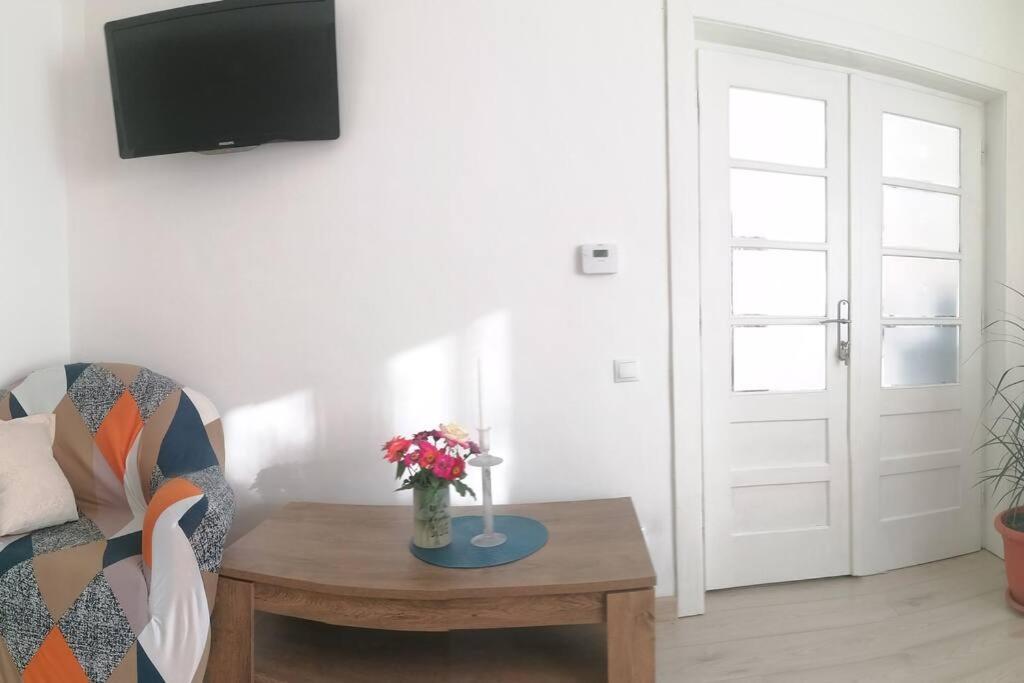 Villa Casa Cu Trandafiri Baia Mare