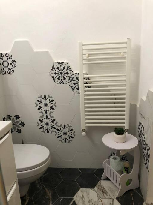 Casa Cu Trandafiri Villa Baia Mare
