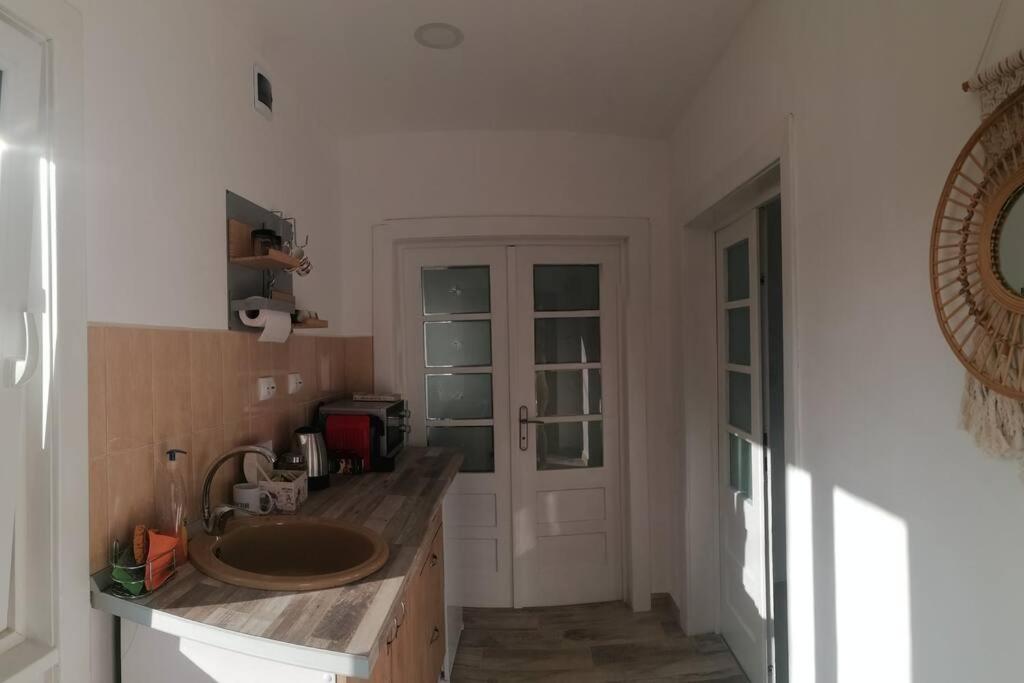 Casa Cu Trandafiri Villa Baia Mare