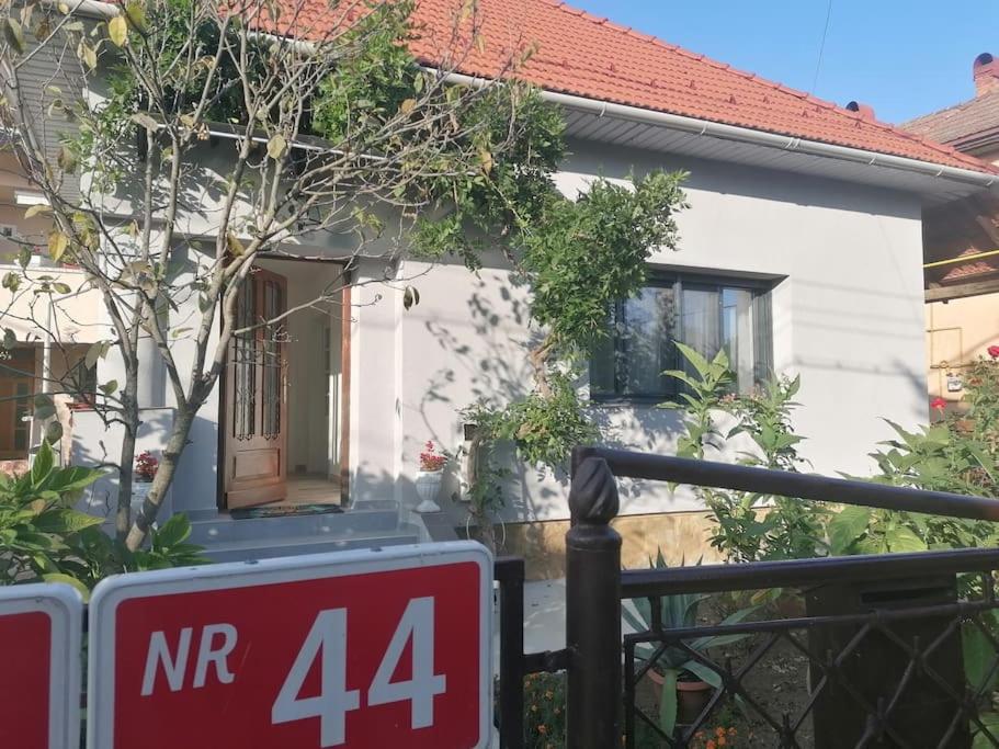 Casa Cu Trandafiri *