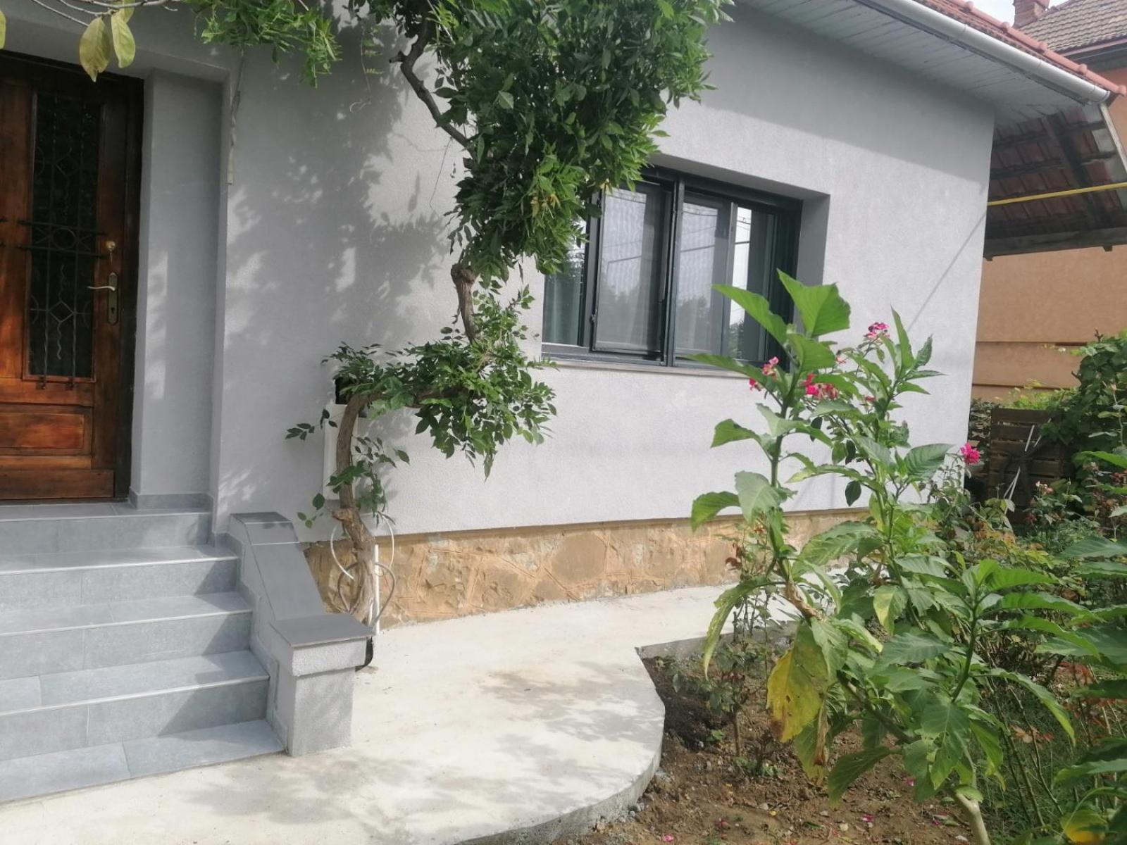 Casa Cu Trandafiri * Baia Mare
